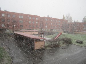 Der erste Schnee am 14.10.2010 vor meinem Fenster